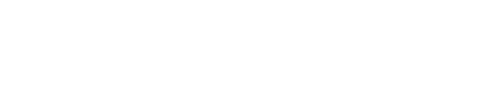 Let's Connect Seguin logo